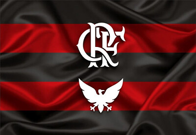 FLAMENGO jigsaw puzzle