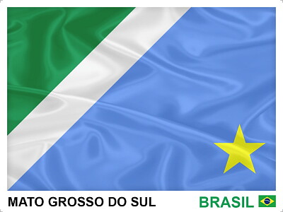 MATO GROSSO DO SUL jigsaw puzzle