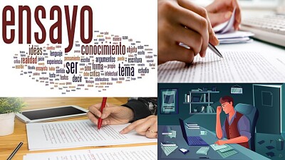 Características del ensayo