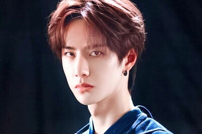 Chinese actor Wang Yibo jigsaw puzzle