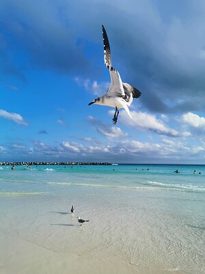 Recuerdos de Cancún