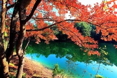 中國江蘇揚州瘦西湖
