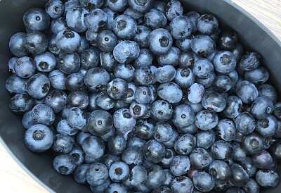 פאזל של Blueberries