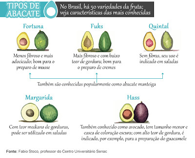 FRUTAS - ABACATE