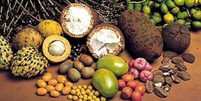 FRUTAS REGIONAIS DO PARÁ