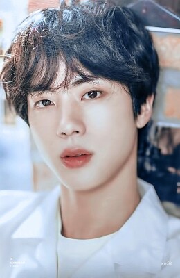 JIN jigsaw puzzle