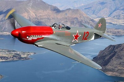 Yak 3 jigsaw puzzle