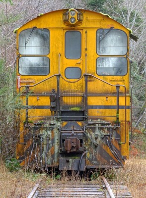 train in the woods jigsaw puzzle