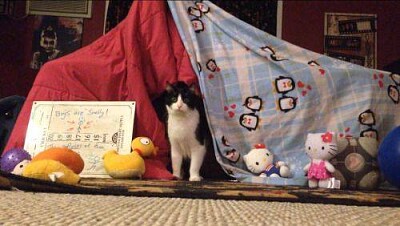 Blanket Fort jigsaw puzzle