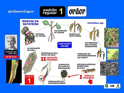 fitopatologia jigsaw puzzle