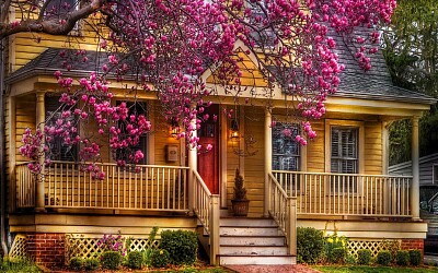 Sunny House