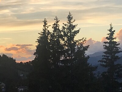 Nature