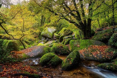 Forêt de Huelgoat Bretagne jigsaw puzzle