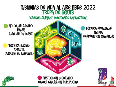 Insignias VAL Tropa