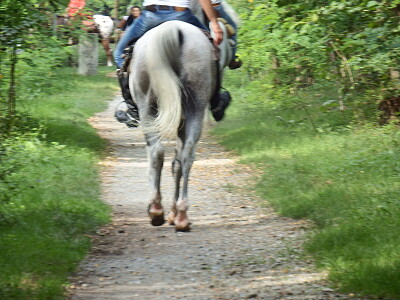 in campagna