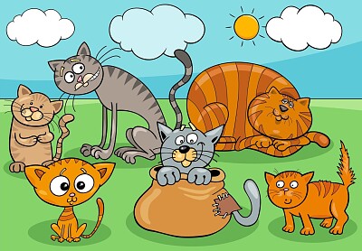 gatos jigsaw puzzle