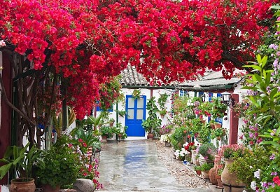 Córdoba (patio)