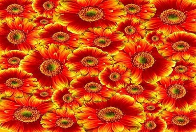 a jigsaw puzzle