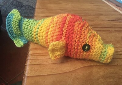 Rainbow fishie jigsaw puzzle
