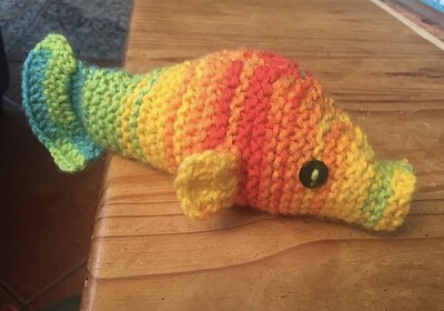 פאזל של Rainbow fishie