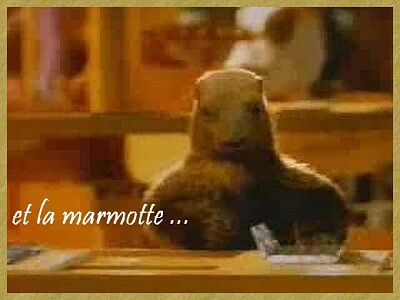 Et la marmotte