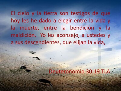 פאזל של texto biblico