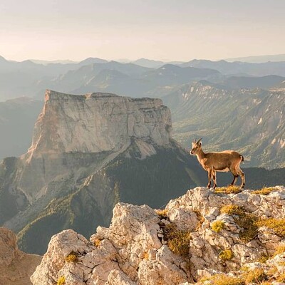 Le mont Aiguille-Hauts plateaux du Vercors