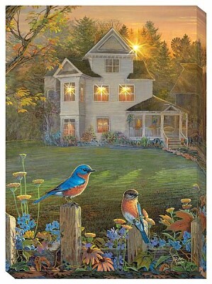 Home and bird
