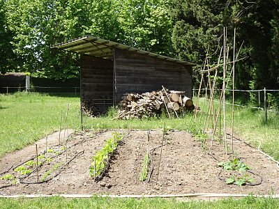 potager