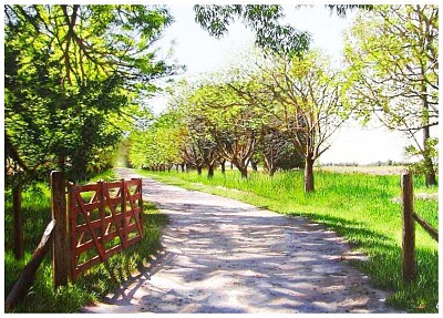 383- ENTRADA FINCA jigsaw puzzle