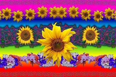 sunflower colours jigsaw puzzle