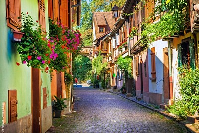 Une ruelle fleurie