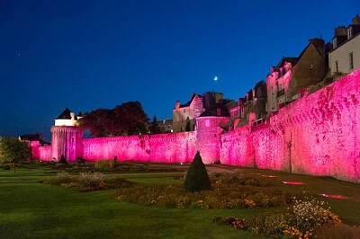 Jardin des Remparts Vannes-Octobre Rose jigsaw puzzle