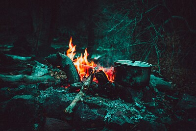 על האש בלב היער