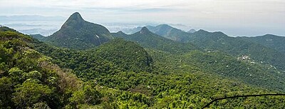 פאזל של tujunga national forest