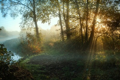 פאזל של Autumn mists