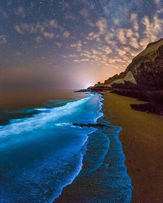 Bioluminescent beach