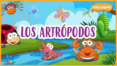 artropodos