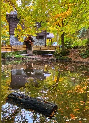 Autor Maja Horvat - Kraljičin zdenac jigsaw puzzle