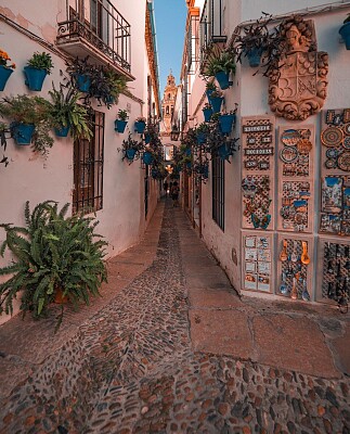 Calle de las Flores-Cordoba jigsaw puzzle