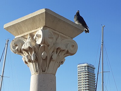 vigilando el puerto