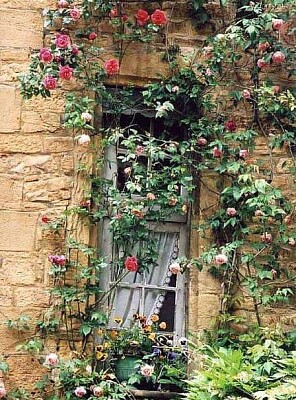 פאזל של ventana