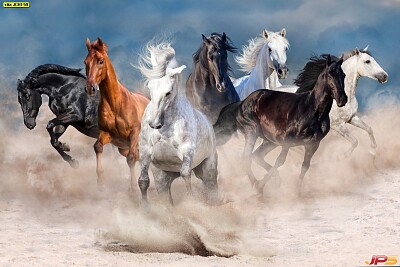 Beaux chevaux jigsaw puzzle