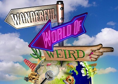 פאזל של World of Weird