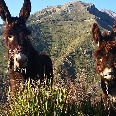 Abitanti del Parco del Pollino