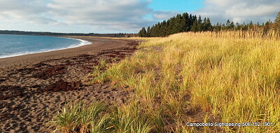 פאזל של Beach Landscape