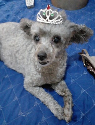 פאזל של Princesa Bety.