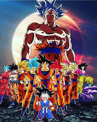 gokus jigsaw puzzle