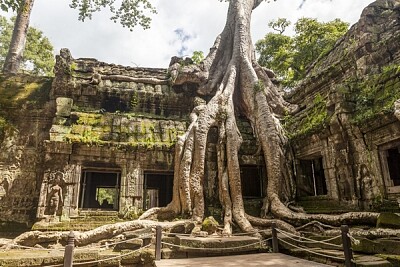 Les temples d 'Angkor - Cambodge : ..