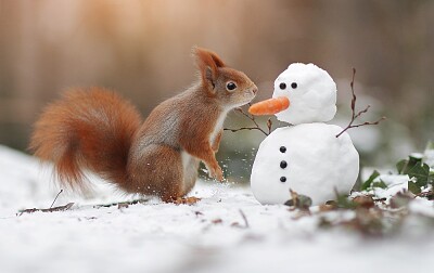 פאזל של Ecureuil et bonhomme de neige